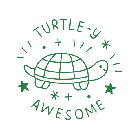 Turtle Pun - The Teaching Tools